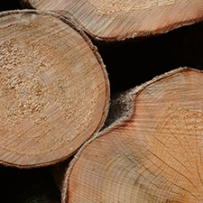 Bois wood epinettes sapin mou franc spruce fir hardwood soft